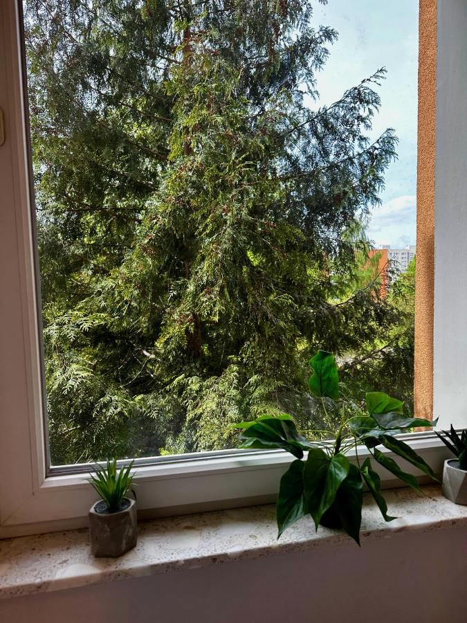 #7 Uroczy Pokoj Niedaleko Morza W Gdansku ! Apartment Ngoại thất bức ảnh